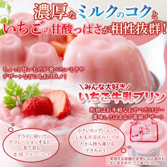 賞味期限2026年6月10日の為超特価！！濃厚ミルクにいちごの酸味 ひとくちいちご牛乳プリン40個 牛乳 プリン いちご 04