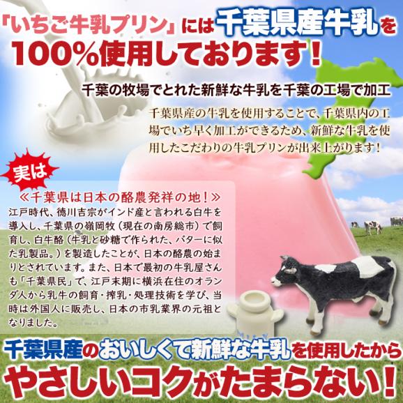 賞味期限2026年6月10日の為超特価！！濃厚ミルクにいちごの酸味 ひとくちいちご牛乳プリン40個 牛乳 プリン いちご 05