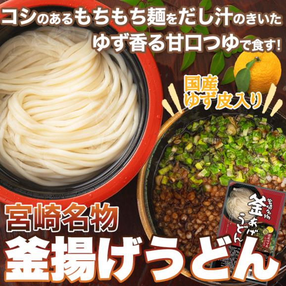 宮崎名物 釜あげ うどん 6食セット もちもちの麺をゆず香る甘口つゆで食す! 送料無料 メール便01