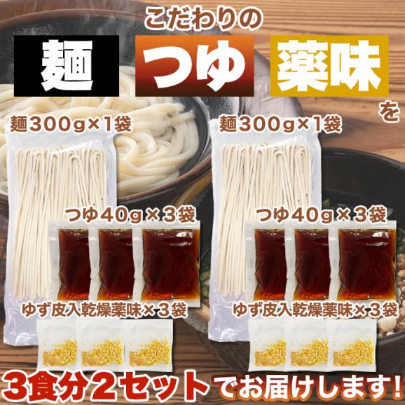 宮崎名物 釜あげ うどん 6食セット もちもちの麺をゆず香る甘口つゆで食す! 送料無料 メール便02