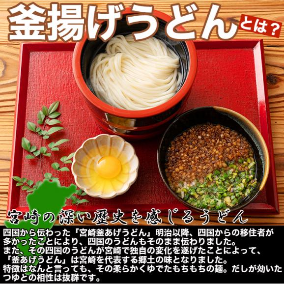 宮崎名物 釜あげ うどん 6食セット もちもちの麺をゆず香る甘口つゆで食す! 送料無料 メール便03