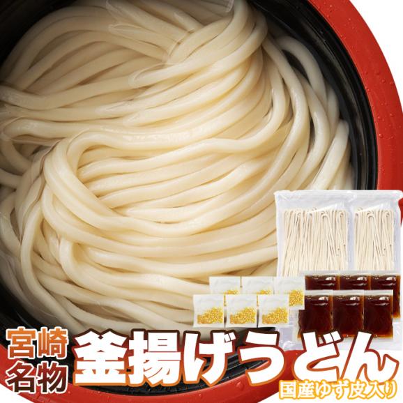 宮崎名物 釜あげ うどん 6食セット もちもちの麺をゆず香る甘口つゆで食す! 送料無料 メール便06