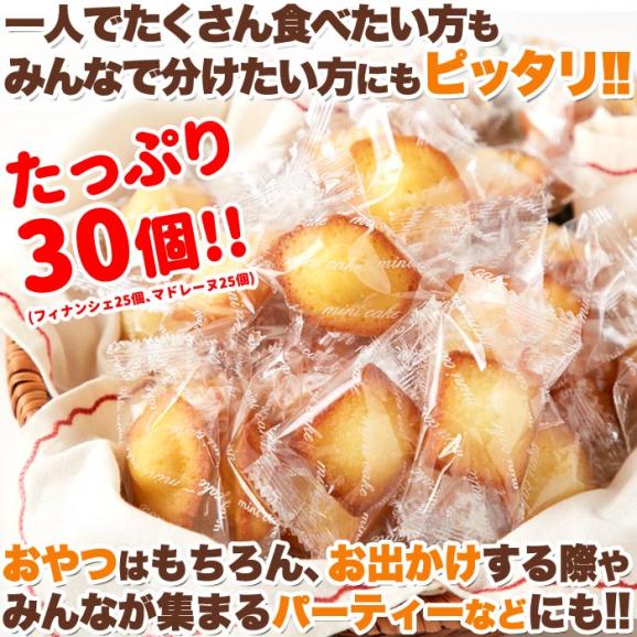 賞味期限:2026年7月19日のため特別価格!!一口サイズで食べやすい!!しっとりプチフィナンシェ&ふんわりプチマドレーヌ30個 メール便06