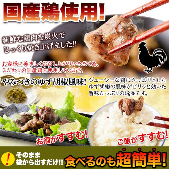 日向屋 鶏の炭火焼 ゆず胡椒味 80g&times;2個 鶏 鶏の炭火焼き メール便04
