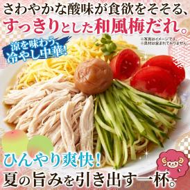 「サタプラ」の 「ひたすら試してランキング(冷やし中華)」にて、 この商品が紹介されました