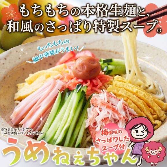 「サタプラ」で紹介された 梅の爽やかな酸味が食欲をそそる冷やし中華☆うめねぇちゃん5食セット02