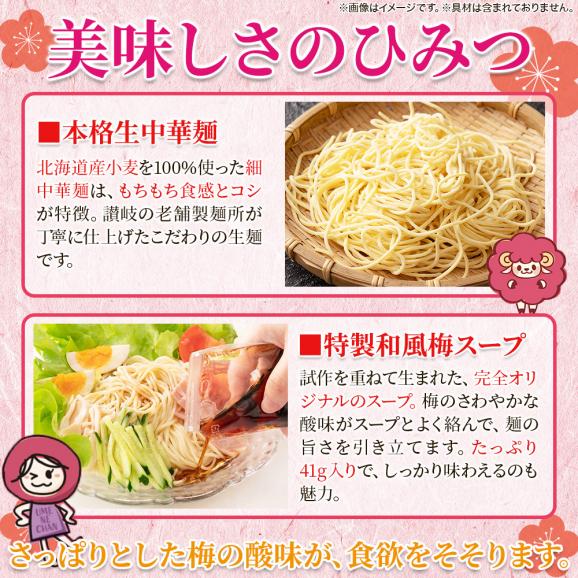 「サタプラ」で紹介された 梅の爽やかな酸味が食欲をそそる冷やし中華☆うめねぇちゃん5食セット04