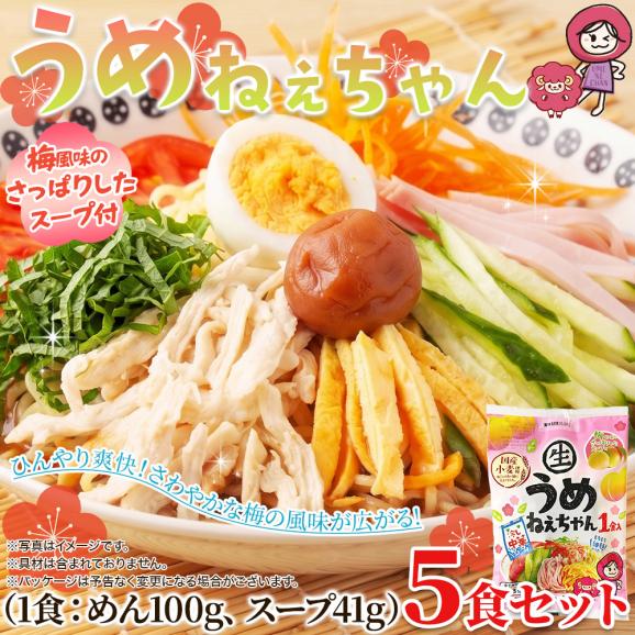 「サタプラ」で紹介された 梅の爽やかな酸味が食欲をそそる冷やし中華☆うめねぇちゃん5食セット06