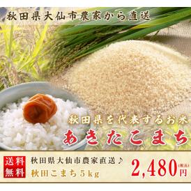 産地直送直売》秋田県大仙市農家直送♪あきたこまち10kg（玄米か白米を