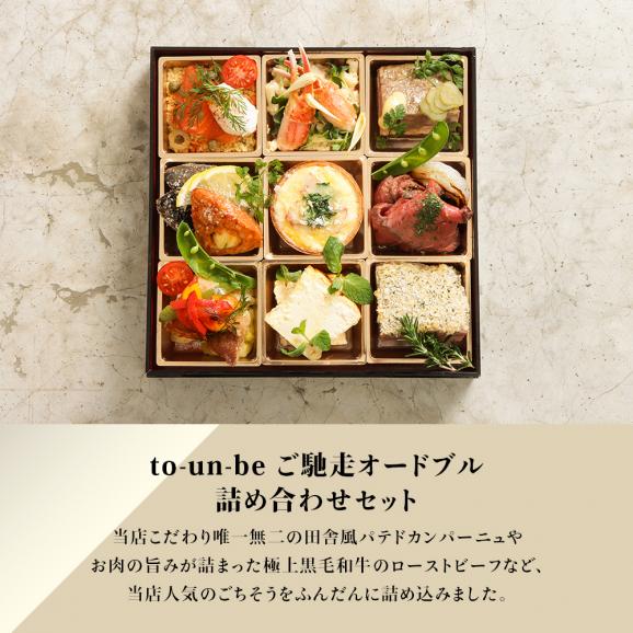 創作フレンチオードブル  2人前 9品 黒毛和牛ローストビーフ入り フレンチシェフが作る  手作り オードブル パーティ お肉料理 ディナー to-un-be（トゥアンビ） 送料無料06