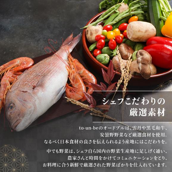 和オードブルセット  2人前 9品 フレンチシェフが作る 割烹料理 手作り 和食 オードブル パーティ ディナー to-un-be（トゥアンビ） 送料無料05