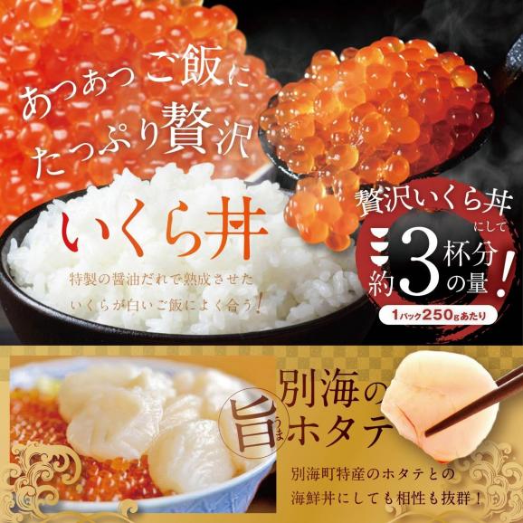 【ふるさと納税】本場「北海道」のいくら醤油漬け 500g！【NK0002NQ7】02