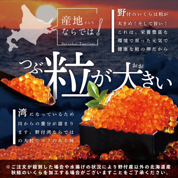 【ふるさと納税】本場「北海道」のいくら醤油漬け 500g！【NK0002NQ7】05