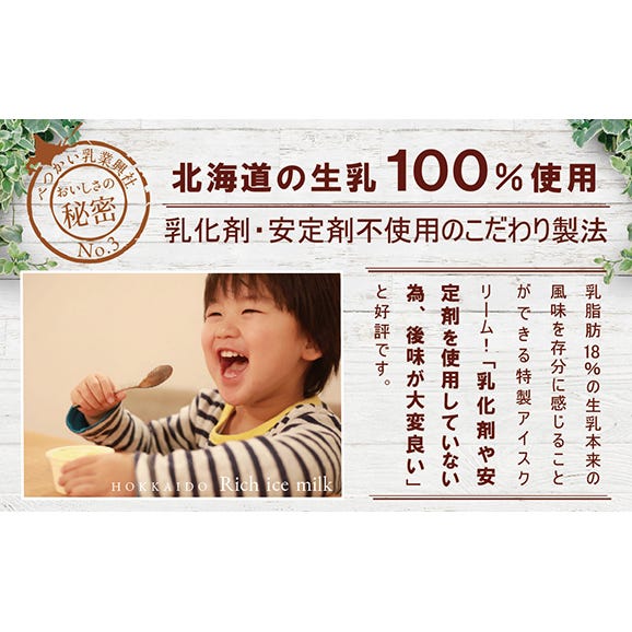 【ふるさと納税】北海道産 べつかいのアイスクリーム屋さん 120ml 12個入（4種×各3個）【BN0000014】（A-07）06