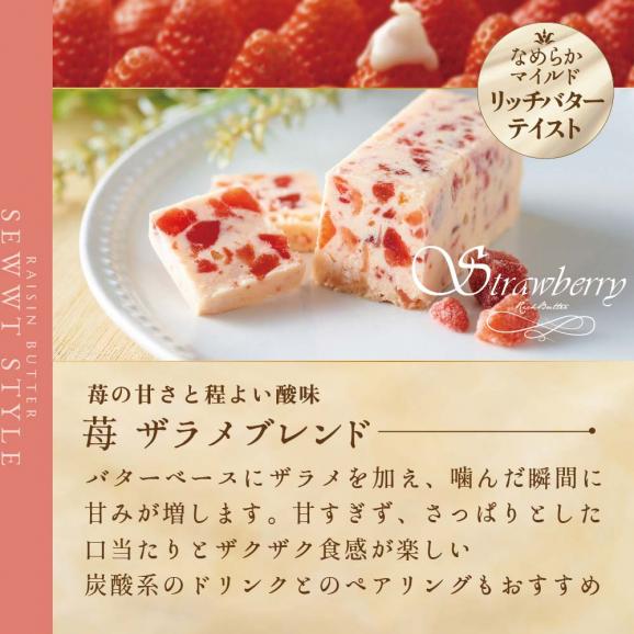 【ふるさと納税】レーズンバター全種類セット(１３種類）【JB0000005】03