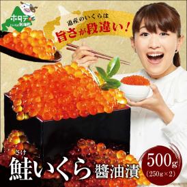 【ふるさと納税】ESSEふるさとグランプリ2022 総合グランプリ受賞！ 北海道産・鮭いくら醤油漬け５００g