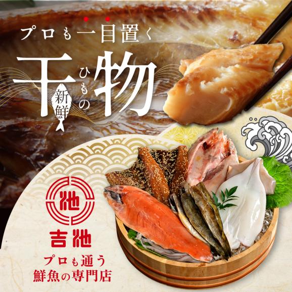 【ふるさと納税】北海道産 干物 セット 別海自社工場特製 味の笛 Aセット02