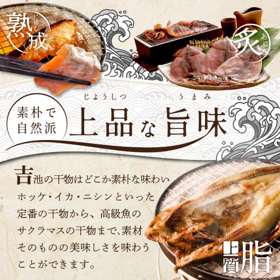 【ふるさと納税】北海道産 干物 セット 別海自社工場特製 味の笛 Aセット03
