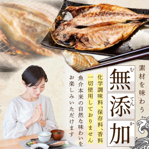 【ふるさと納税】北海道産 干物 セット 別海自社工場特製 味の笛 Bセット 06