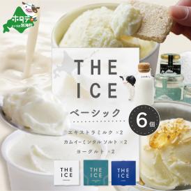 【ふるさと納税】【THE ICE】ベーシック 6個セット CJ0000209
