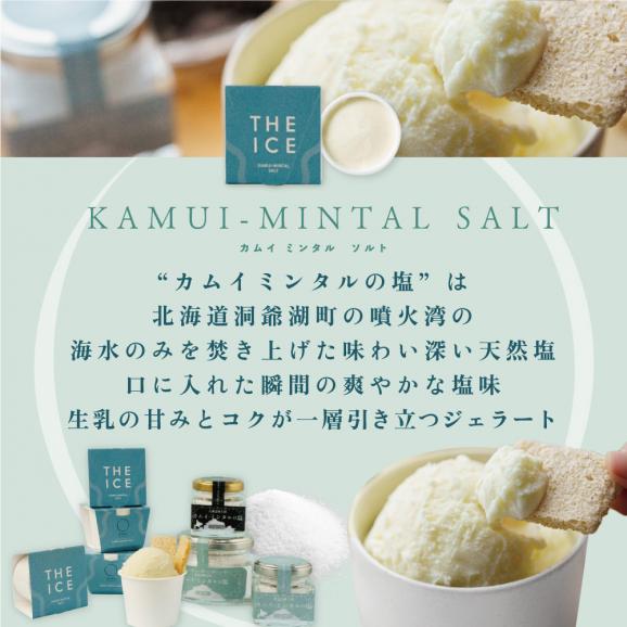 【ふるさと納税】【THE ICE】KAMUI-MINTAL SALT （カムイ・ミンタルソルト）ジェラート 6個セット CJ000021202