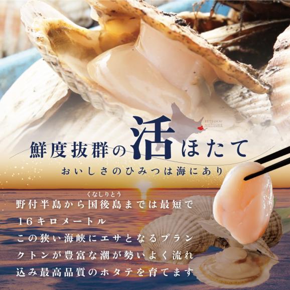 【先行予約】北海道野付産活ホタテ 3kg02