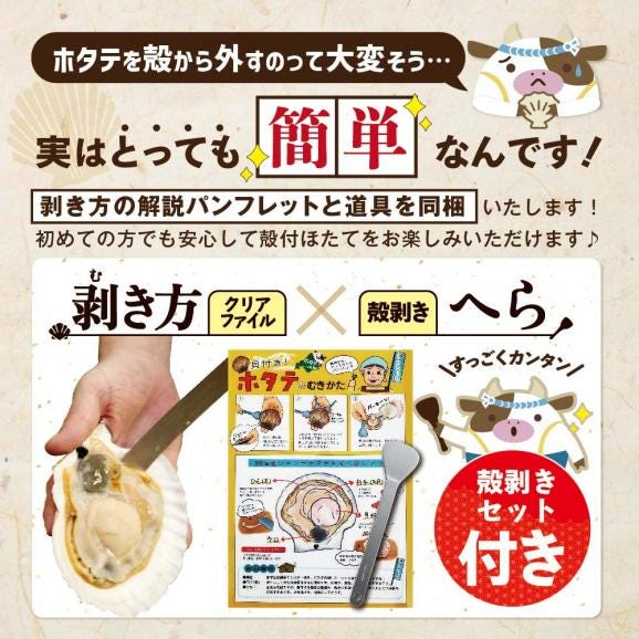 【先行予約】北海道野付産活ホタテ 3kg05