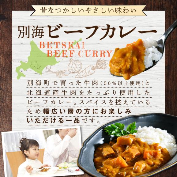 最新デザインの 北海道 別海町 2箱 × 200g カレー ビーフ 別海 使用 牛 産 その他 加工食品