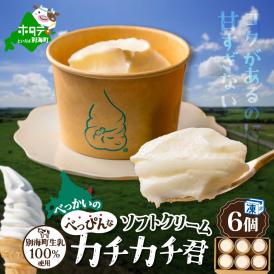 【ふるさと納税】北海道 別海町産 生乳 100% で作った ソフトクリーム カチカチ君 6個 セット【GT0000001】