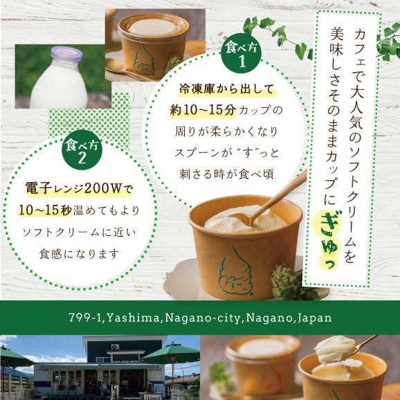 【ふるさと納税】北海道 別海町産 生乳 100% で作った ソフトクリーム カチカチ君 6個 セット【GT0000001】03