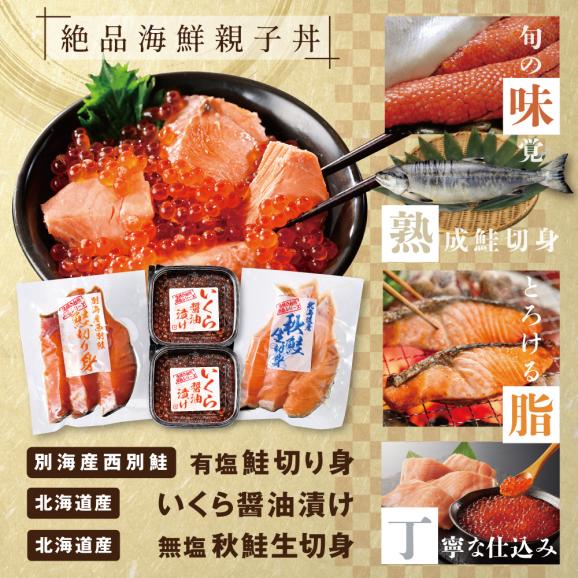 秋鮭切身といくら醤油漬けセット【GY0000004】02
