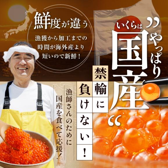 秋鮭切身といくら醤油漬けセット【GY0000004】03