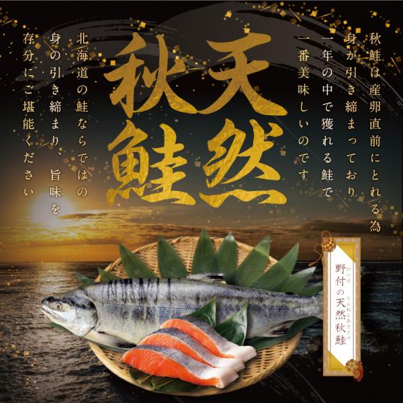 秋鮭切身といくら醤油漬けセット【GY0000004】04
