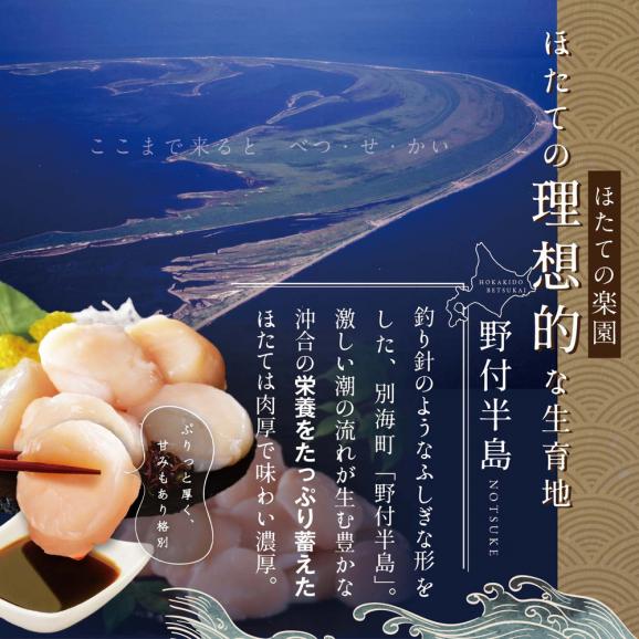 北海道 別海町 野付産 冷凍 ほたて 貝柱 500g（12～16玉前後）【KO0000004】02