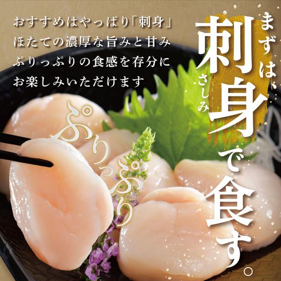 北海道 別海町 野付産 冷凍 ほたて 貝柱 500g（12～16玉前後）【KO0000004】04