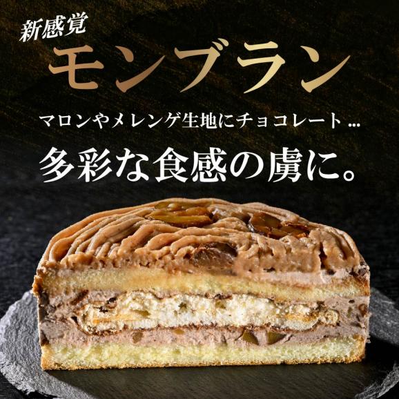 北海道クリームのモンブラン400g×1個 【CM0000005】03
