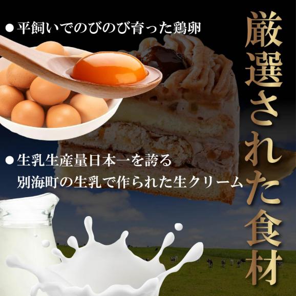 北海道クリームのモンブラン400g×1個 【CM0000005】04