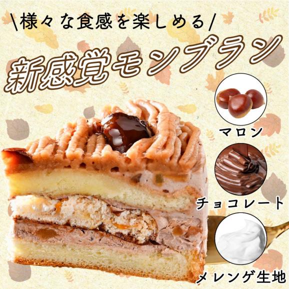北海道クリームのモンブラン400g×1個 【CM0000005】05