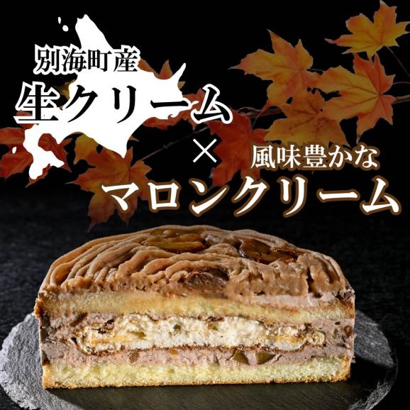 北海道クリームのモンブラン400g×1個 【CM0000005】06