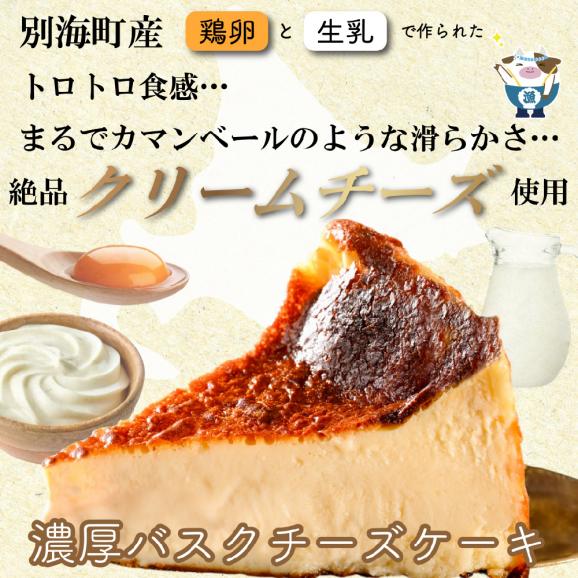 北海道チーズの濃厚バスクチーズケーキ 500g×1個【CM0000007】04