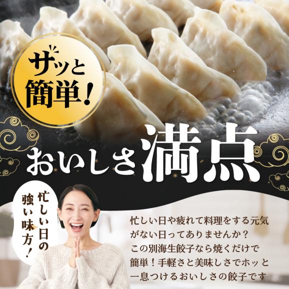 北海道 別海町 別海牛 生 餃子 144個 （48個×3袋）【NS0000014】02