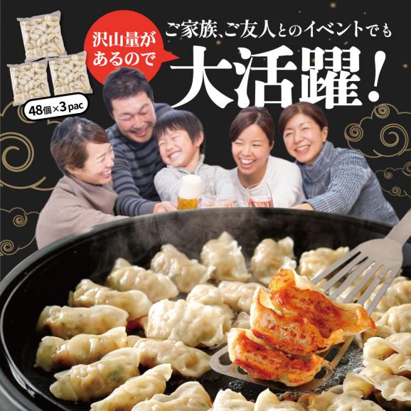 北海道 別海町 別海牛 生 餃子 144個 （48個×3袋）【NS0000014】03
