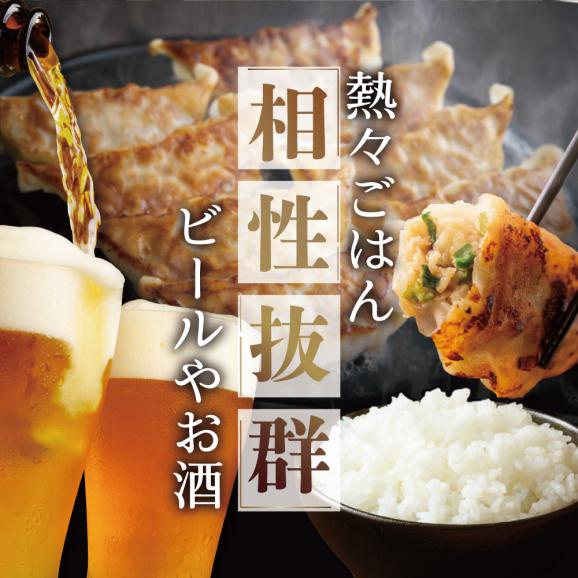 北海道 別海町 別海牛 生 餃子 144個 （48個×3袋）【NS0000014】04