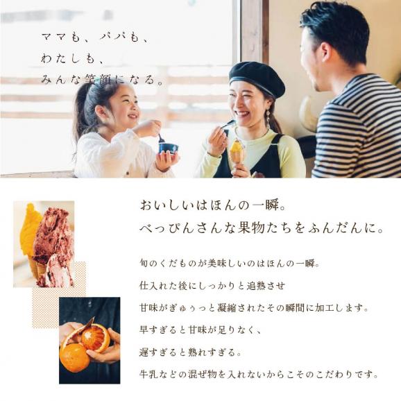 贅沢素材・8種のジェラート【EK0000002】（GELATERIA GELABO）03