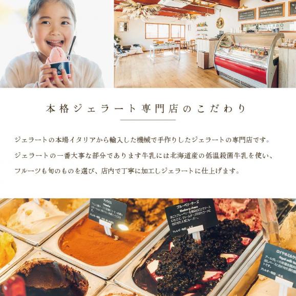 贅沢素材・8種のジェラート【EK0000002】（GELATERIA GELABO）04