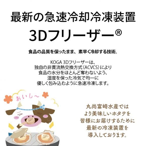 驚きの LL - Lサイズ 北海道 野付産 特大 ジャンボ ホタテ貝柱 驚きの LL - Lサイズ 北海道 野付産 特大 ジャンボ ホタテ貝柱