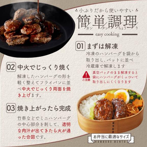 別海牛 使用 ファーストクラス ミニ ハンバーグ 50g×20個02