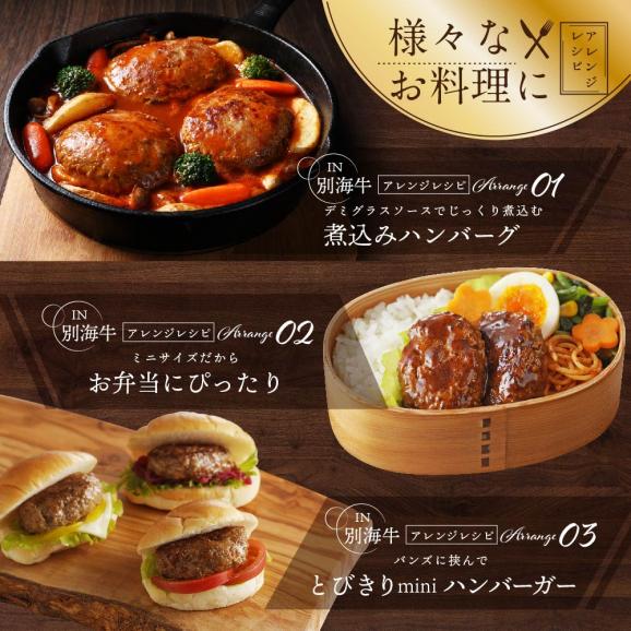 別海牛 使用 ファーストクラス ミニ ハンバーグ 50g×20個03