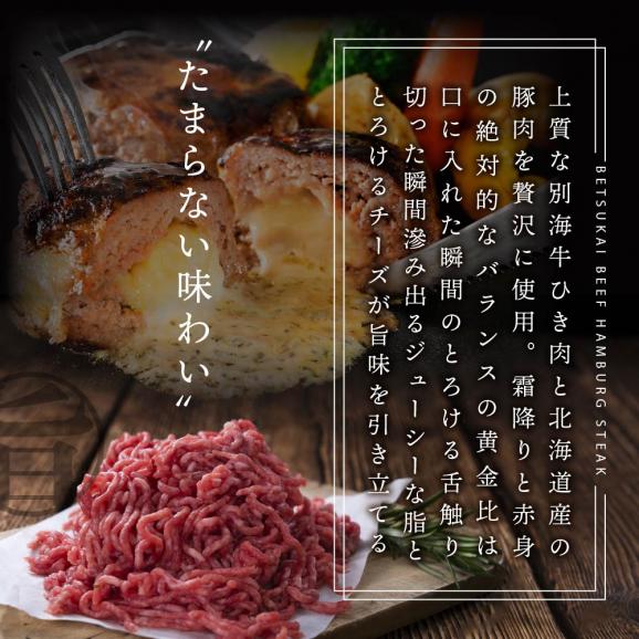別海牛 使用 ファーストクラス ミニ ハンバーグ 50g×20個04