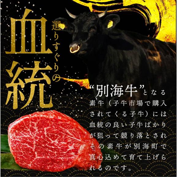 別海牛 使用 ファーストクラス ミニ ハンバーグ 50g×20個06